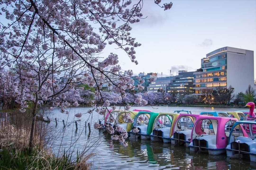 Ueno / Fun Japan