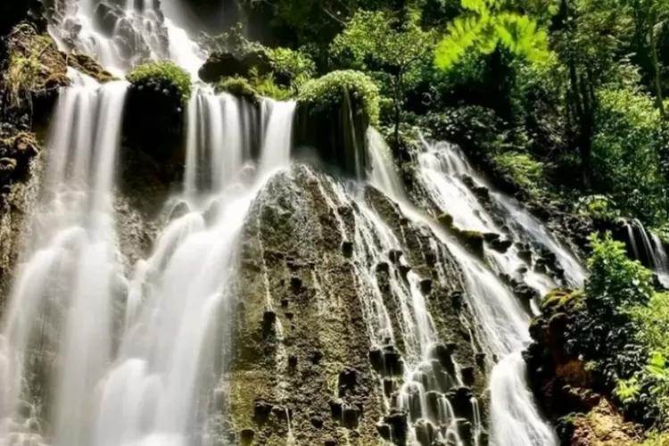 Daya Tarik Goa Tetes Lumajang
