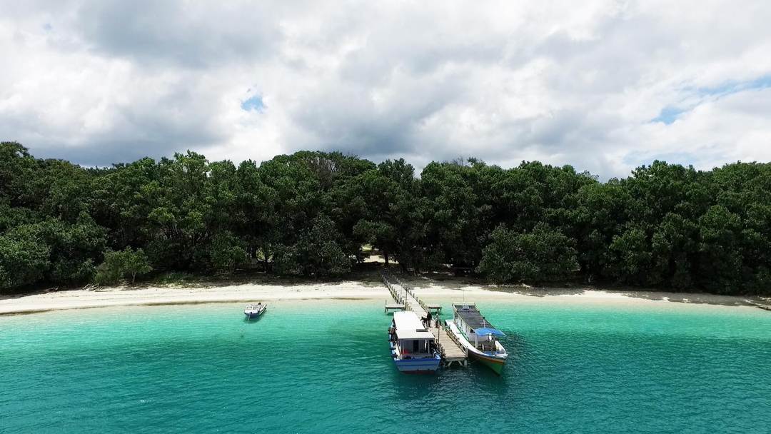Pulau Peucang: Wisata Alam dan Satwa Liar di Ujung Kulon