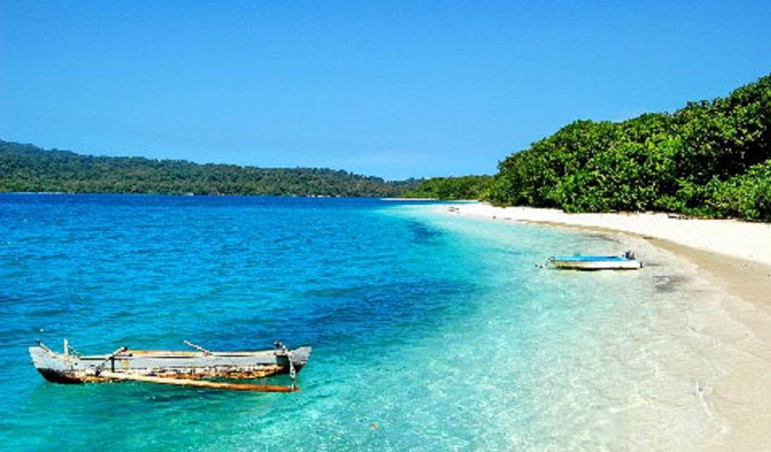 Daya Tarik Utama Pulau Peucang