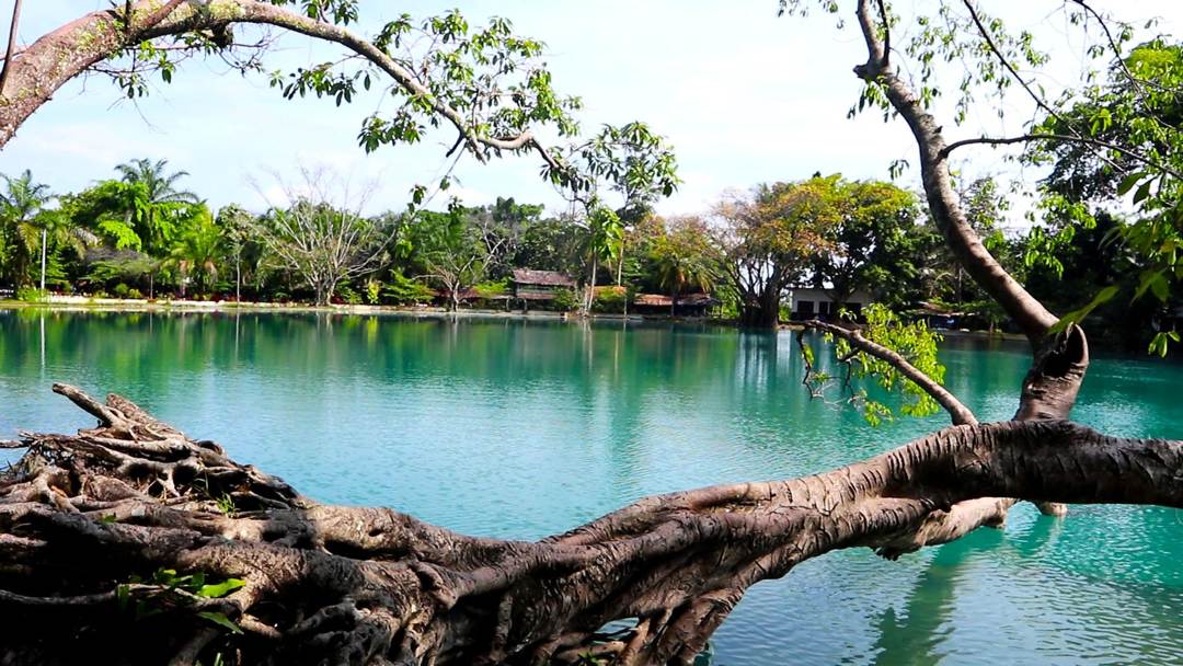 Danau Linting: Keindahan Alam dan Misteri di Deli Serdang