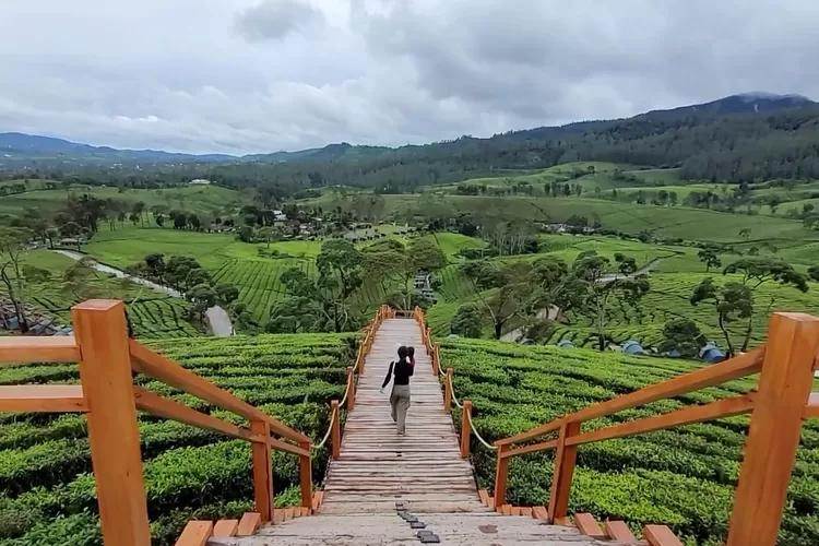 Daya Tarik Kiara Manuk Camp Deck