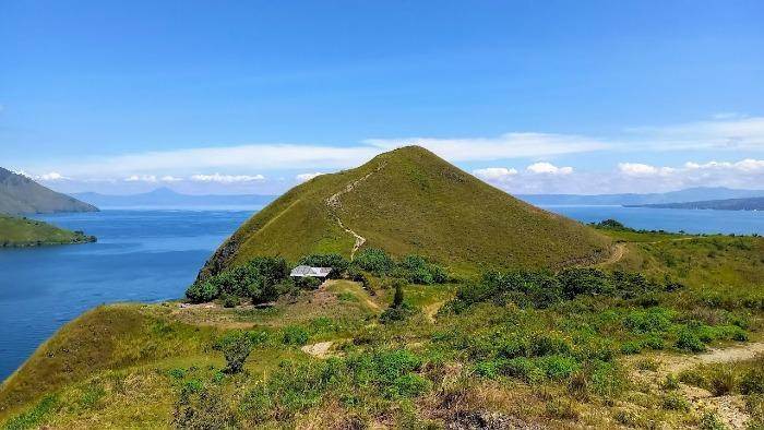 Bukit Burung Samosir: Puncak Indah Habitat Burung Langka