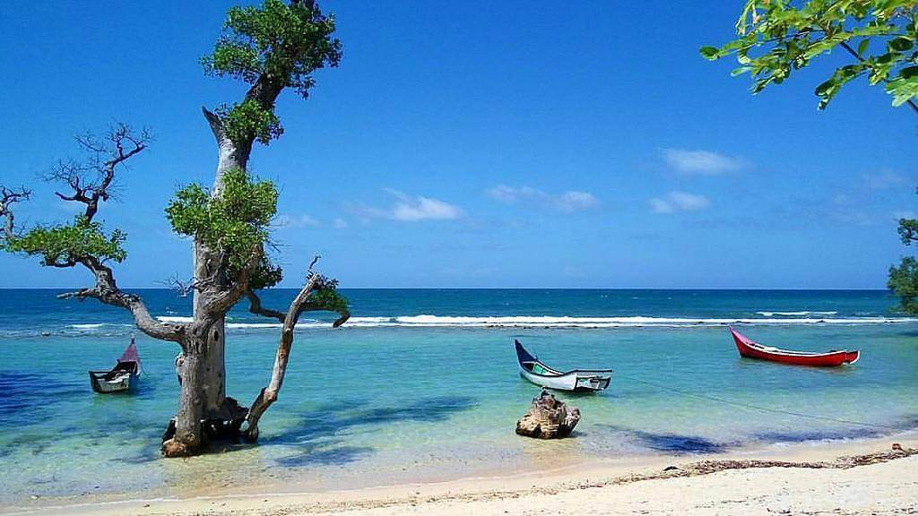 Pantai Lhok Mee Aceh: Pesona Pasir Putih dan Pohon dalam Air