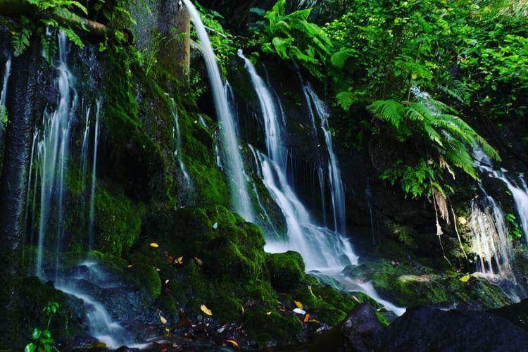 Air Terjun Pancor Kopong: Keindahan Tersembunyi di Lombok Timur