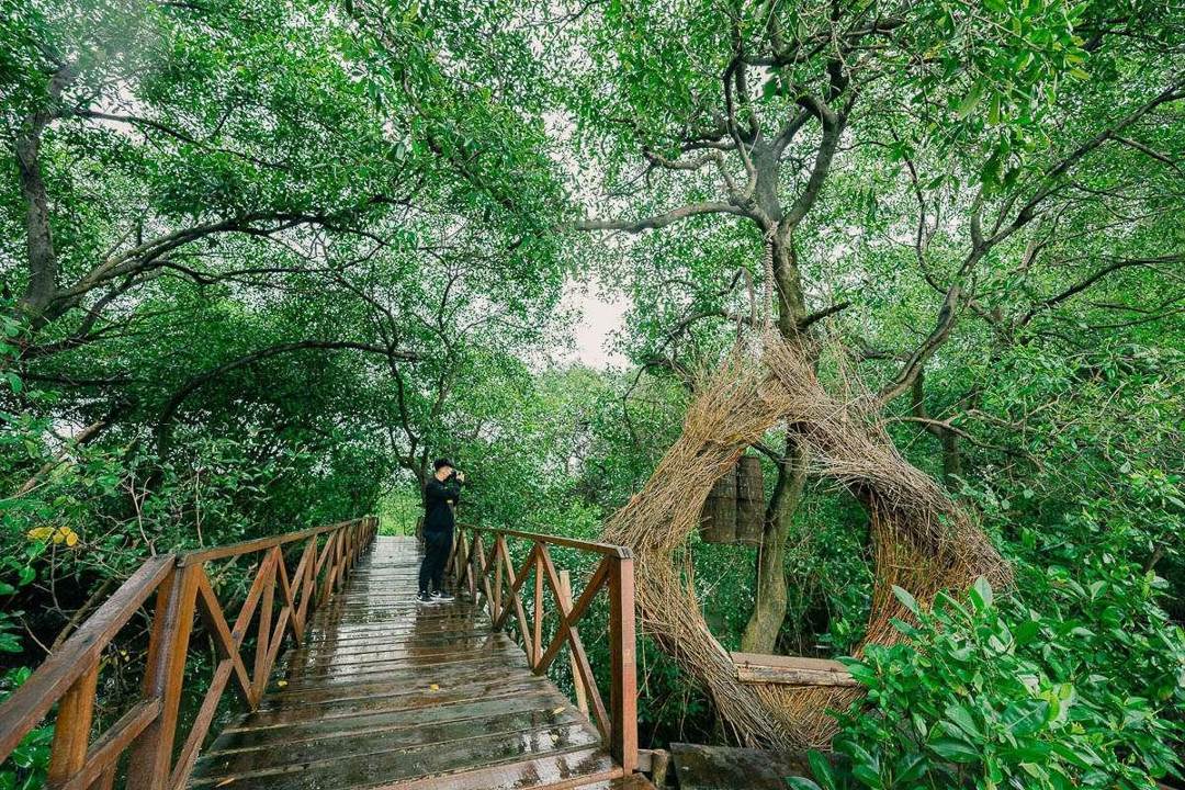 Kebun Raya Mangrove Gunung Anyar: Destinasi Ekowisata Surabaya