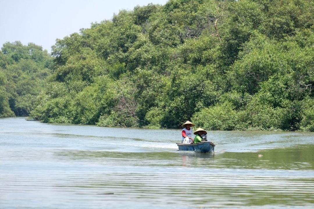 Daya Tarik Utama Kebun Raya Mangrove Gunung Anyar