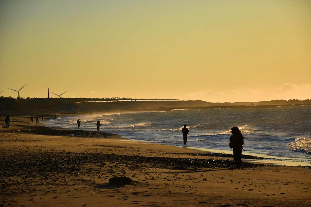 Nakatajima Sand Dunes, Keindahan Gurun Pasir di Hamamatsu ( Pratik Bisht  Unsplash)