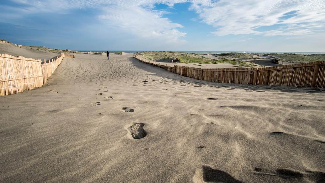 Daya Tarik Utama Nakatajima Sand Dunes ( Steven Chua  Unsplash)