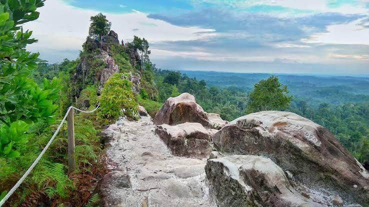 Bukit Batu Dinding: Petualangan Alam di Samboja