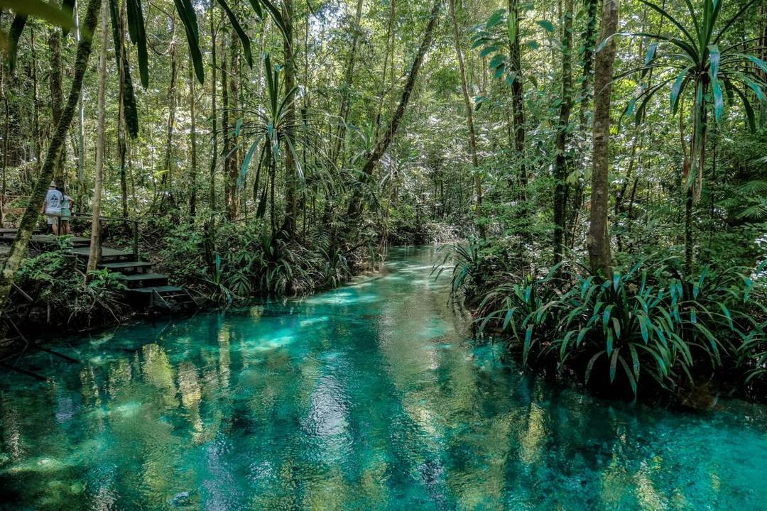 Kali Biru: Wisata Raja Ampat yang Wajib Dikunjungi