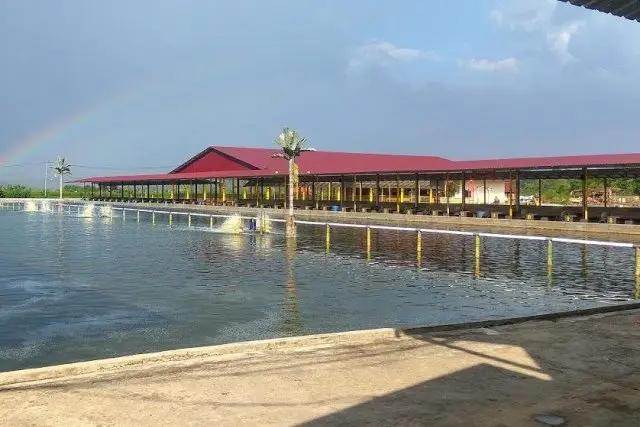Daya Tarik Utama Tjiu Palace