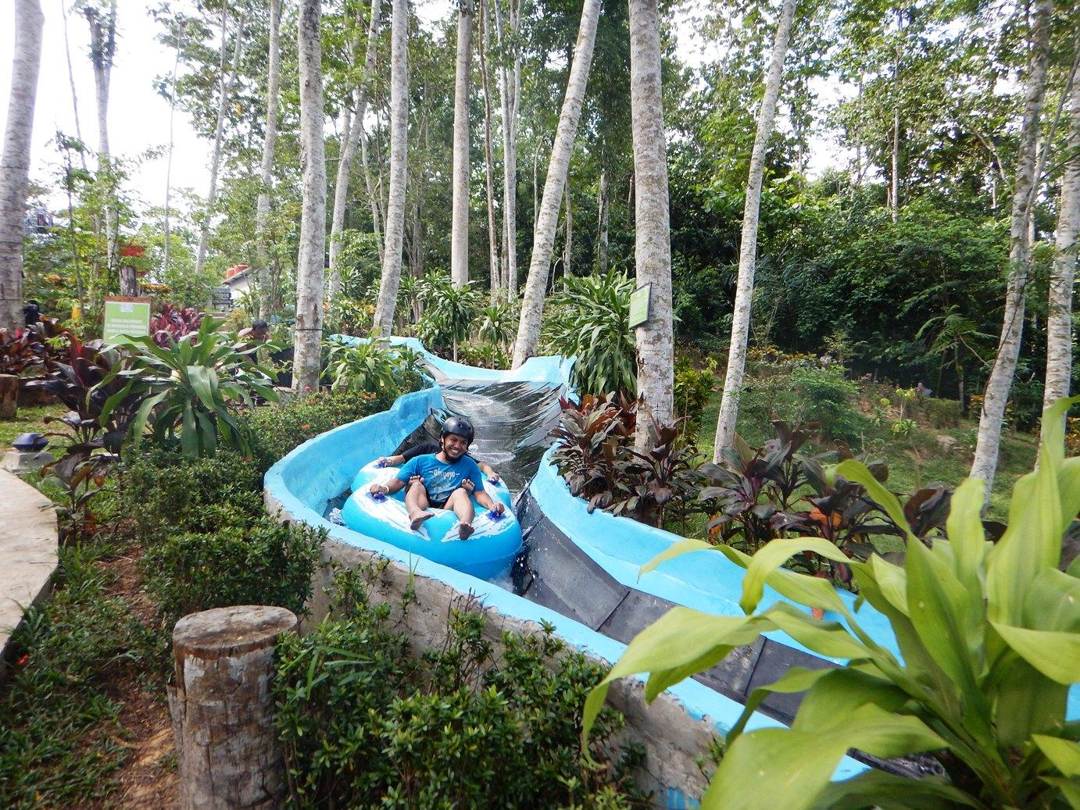 Daya Tarik Utama Jungle Water World