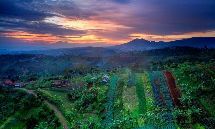 Bukit Moko Bandung: Pemandangan Kota dan Suasana Malam
