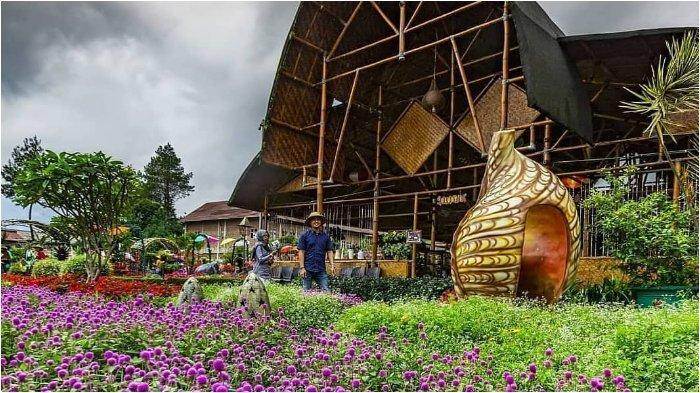 Daya Tarik Kebun Begonia