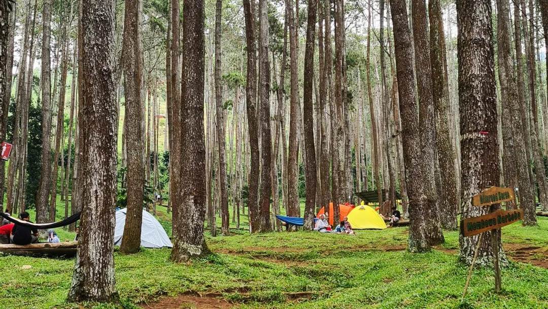 Daya Tarik Utama Wisata Batu Kuda