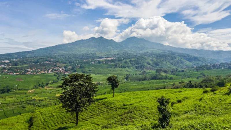 Daya Tarik Utama Bukit Keroncong