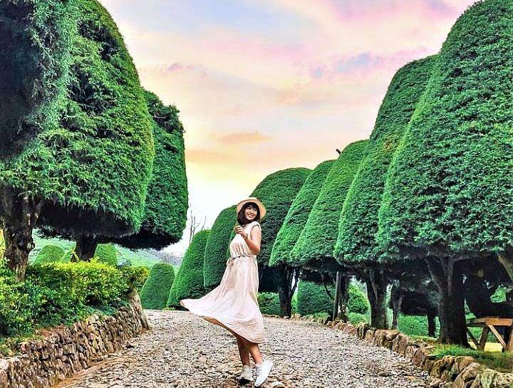 Bukit Jamur Rancabolang: Wisata Alam Menarik di Ciwidey