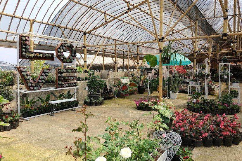 Daya Tarik Utama Grace Rose Farm