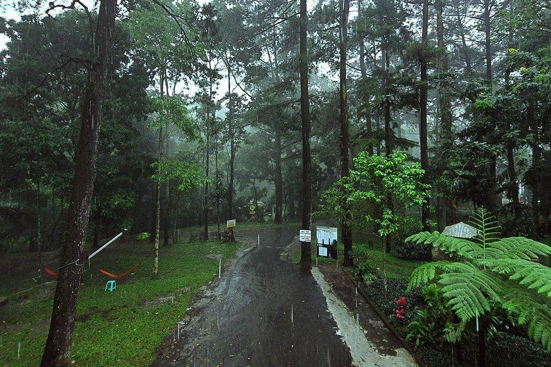 Taman Wisata Alam Linggarjati: Pesona Alam dan Fasilitas Lengkap (twa_linggarjati Instagram)
