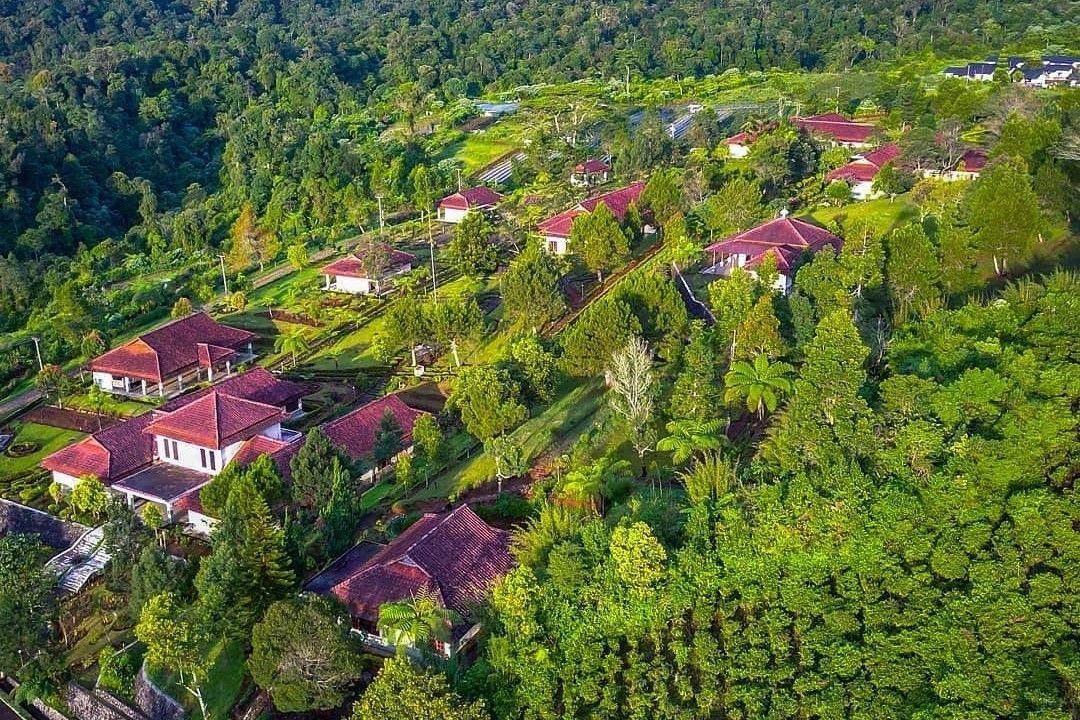 Kampung Tokyo Bogor ( indrasutantoo Instagram)