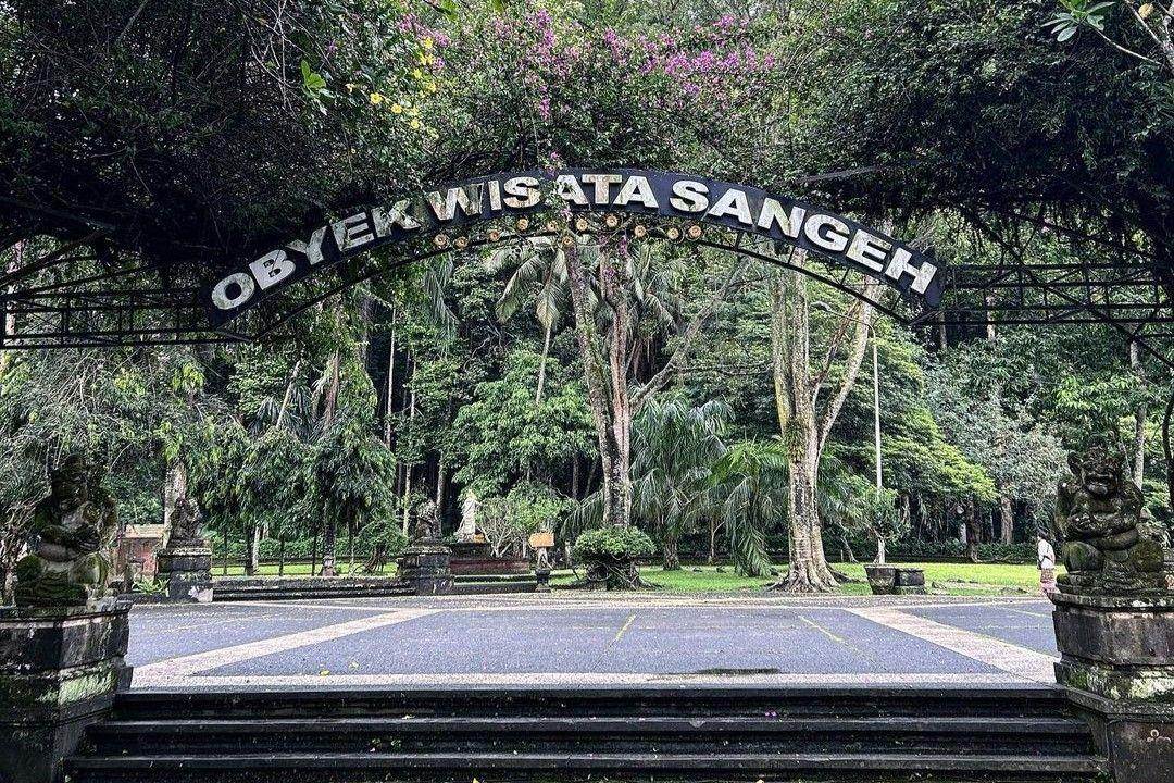 Sangeh Monkey Forest: Harga Tiket, Daya Tarik, Lokasi (sangehmonkeyforest Instagram)