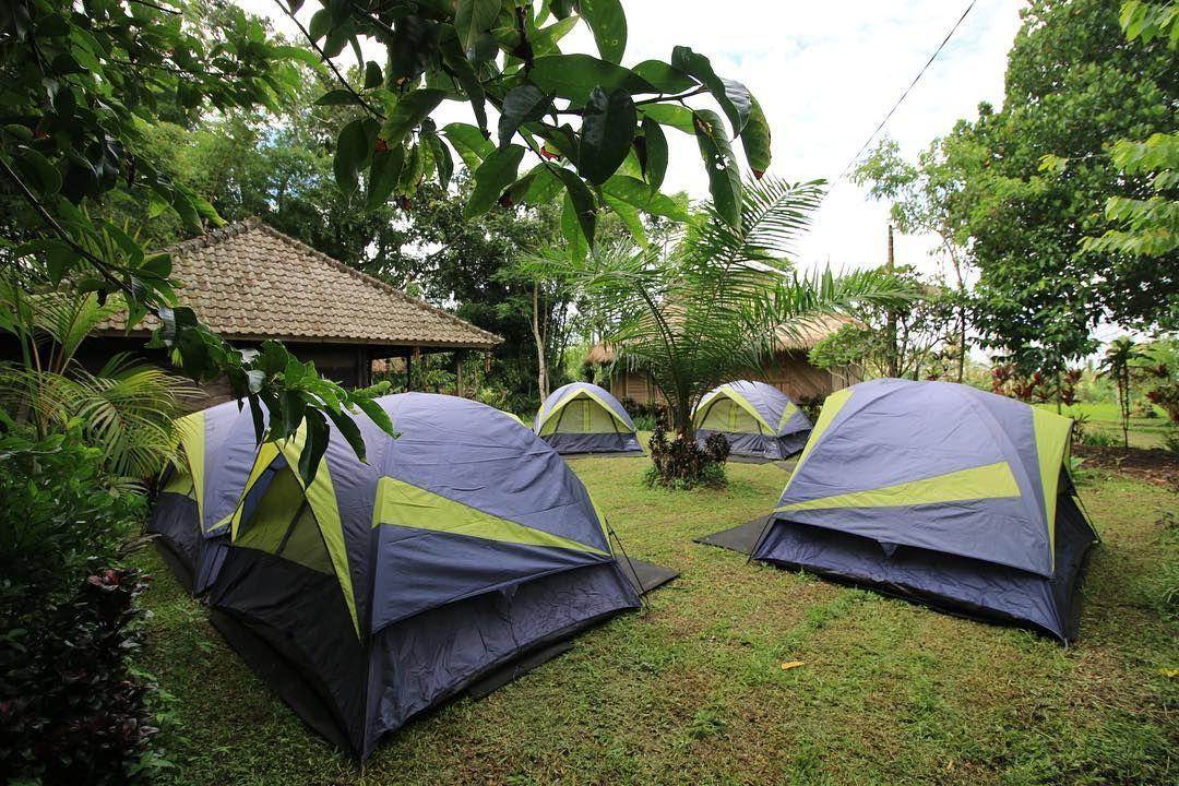 Daya Tarik Utama Sekar Bumi Tropical Farm (sekarbumifarm Instagram)