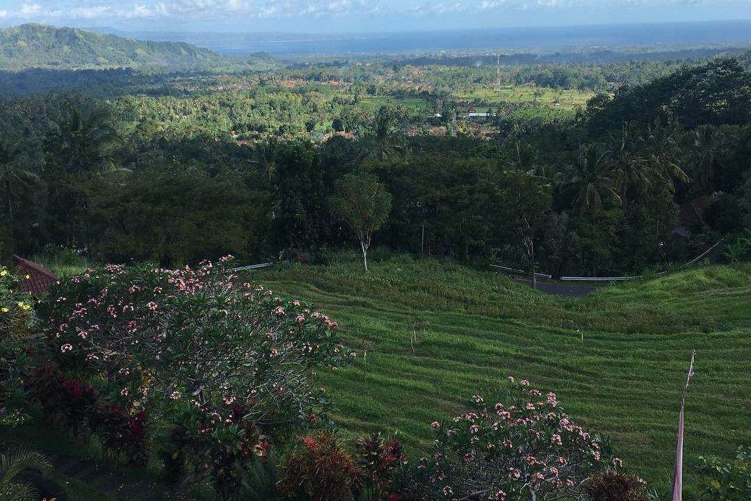 Bukit Jambul: Pesona Wisata Bali di Tengah Alam ( nishiguchikattit Instagram)