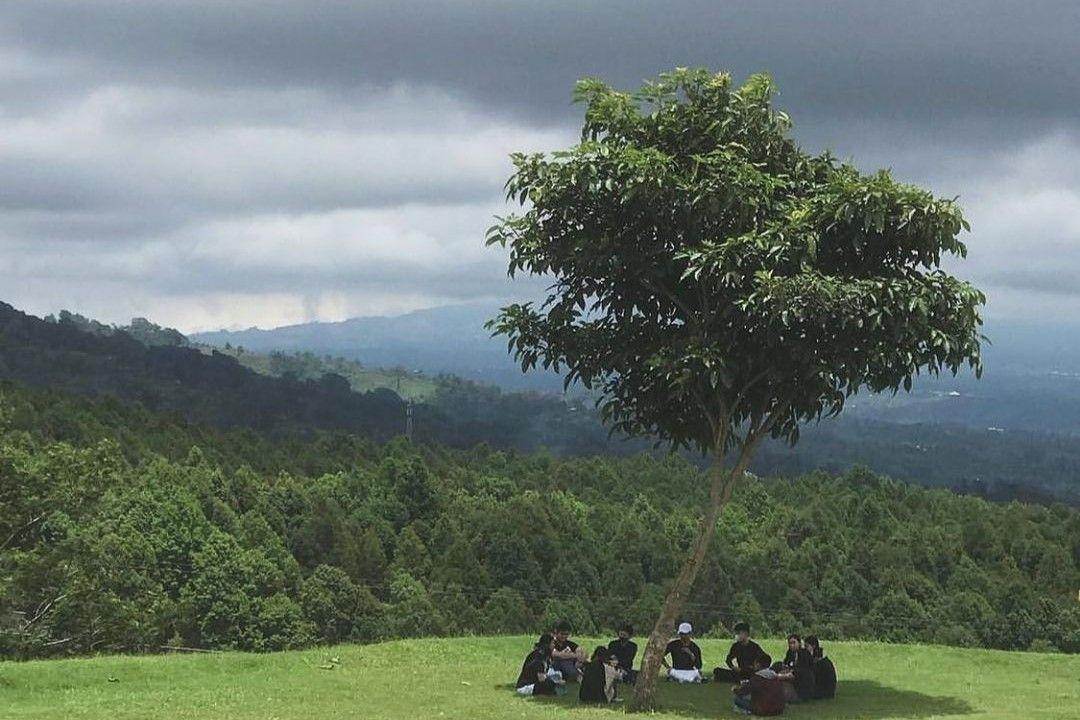 The Sila's Agrotourism: Harga Tiket, Daya Tarik, Jam Buka (the_silas_agrotourism Instagram)