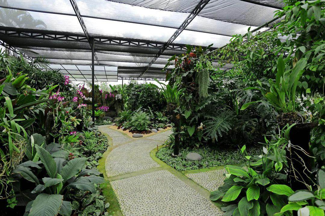 Duta Orchid Garden: Harga Tiket, Daya Tarik, Jam Buka (dutaorchidgarden Instagram)