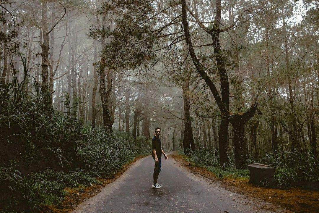 Hutan Pinus Glagalinggah Lestari: Harga Tiket, Daya Tarik, Jam Buka ( iamsteve23 Instagram)