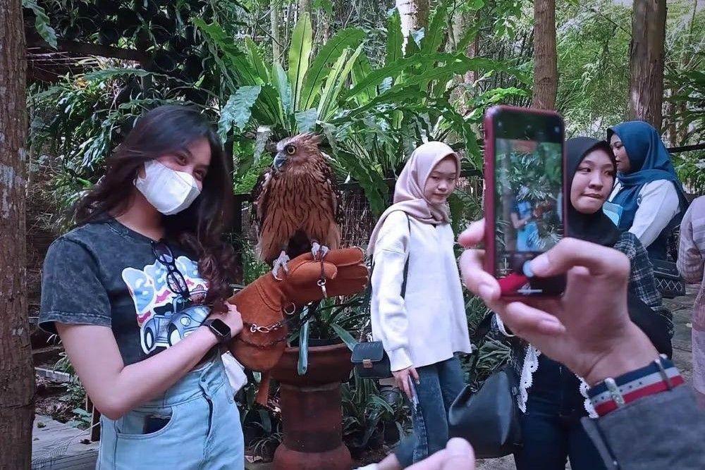 Bird Pavilion Bandung: Harga Tiket, Daya Tarik, Jam Buka ( birdbromeliapavilion Instagram)