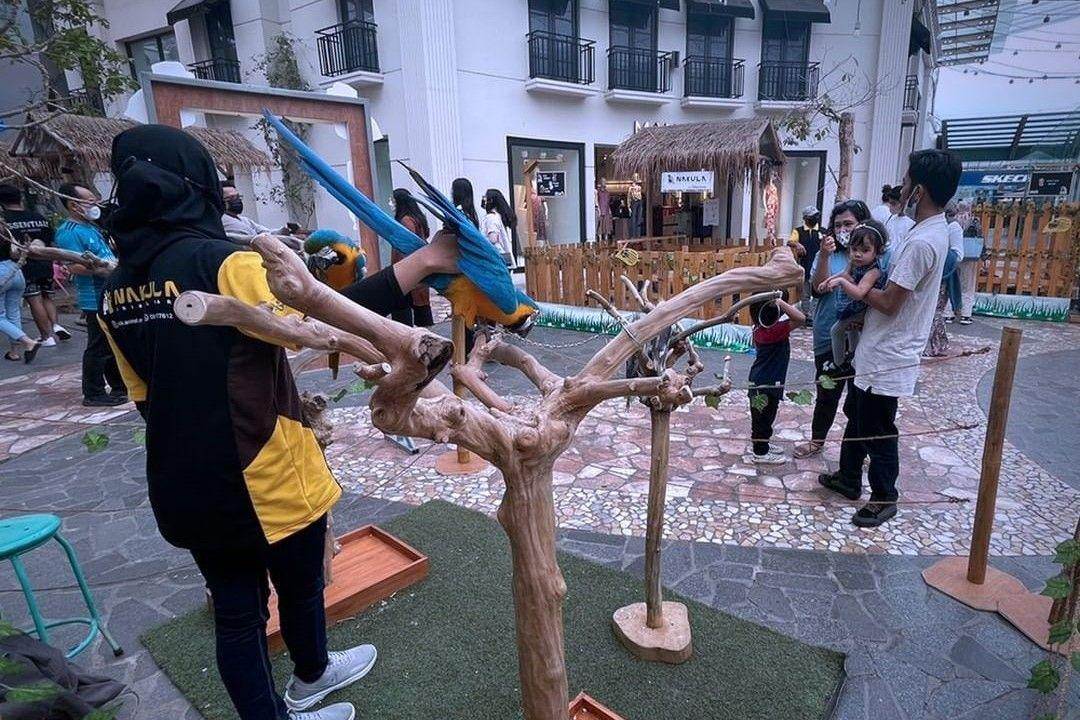 Bird Pavilion Bandung: Wisata Edukatif Terlengkap ( birdbromeliapavilion Instagram)