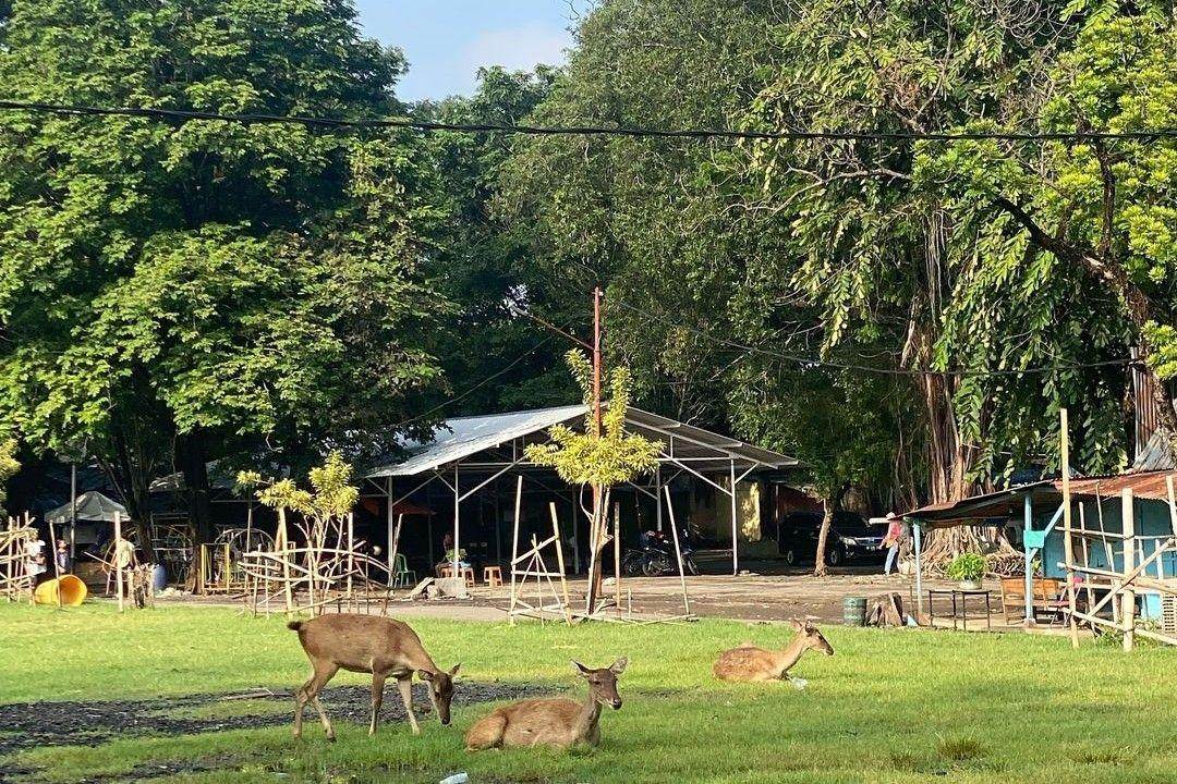 Daya Tarik Utama Taman Sriwedari Solo ( whatsab_kolik Instagram)