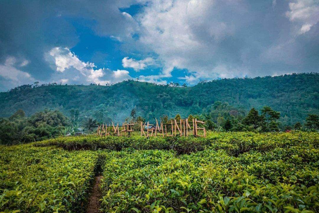 Kalimas Kemuning: Harga Tiket, Daya Tarik, Jam Buka ( ekobudiprasaja Instagram)