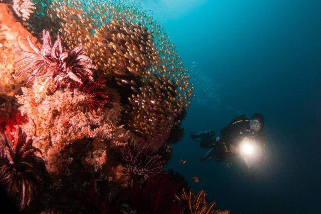 Eksplorasi Gili Rengit, Wisata Snorkeling di Lombok Barat ( steven.alexandre Instagram)