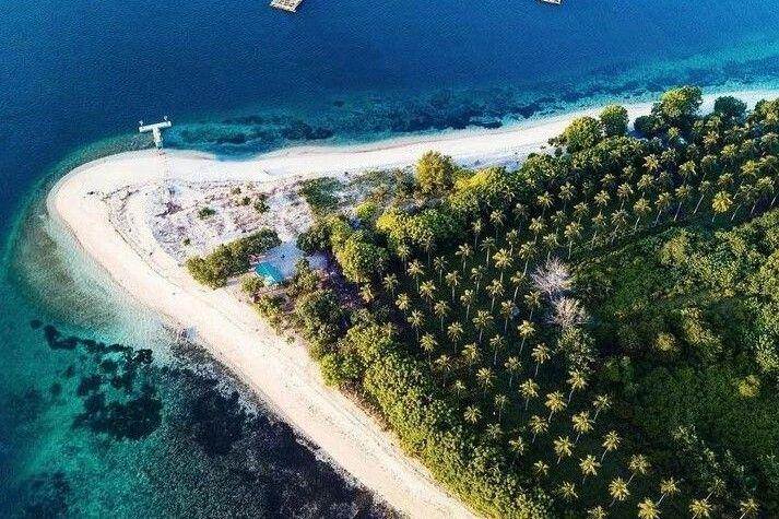 Gili Tangkong: Pesona Bawah Laut di Pulau Sepi Lombok Barat ( vivividia171  Instagram)