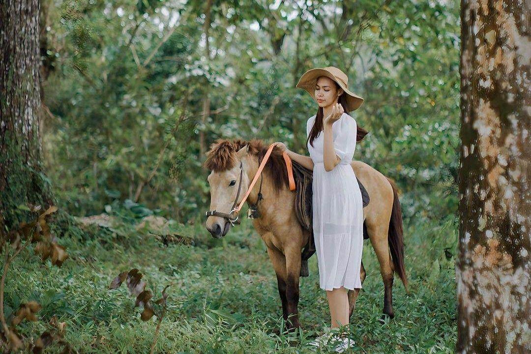 Tahura Nuraksa Lombok: Harga Tiket, Daya Tarik, Jam Buka ( _sarmitchell Instagram)