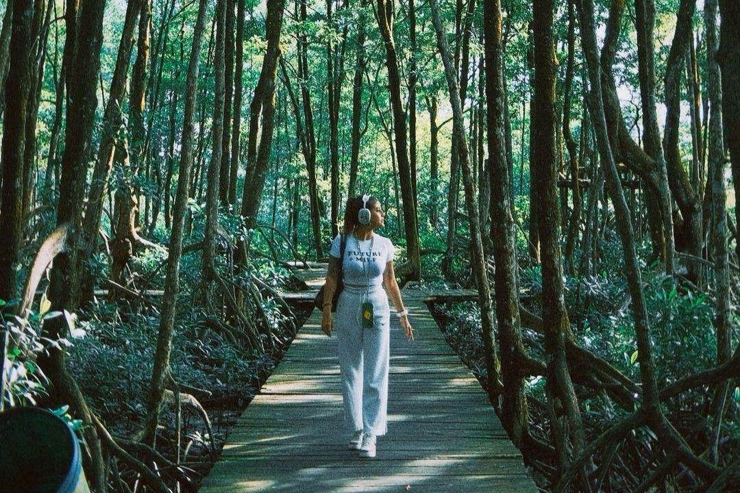 Kawasan Konservasi Mangrove dan Bekantan ( narinkovilda Instagram)