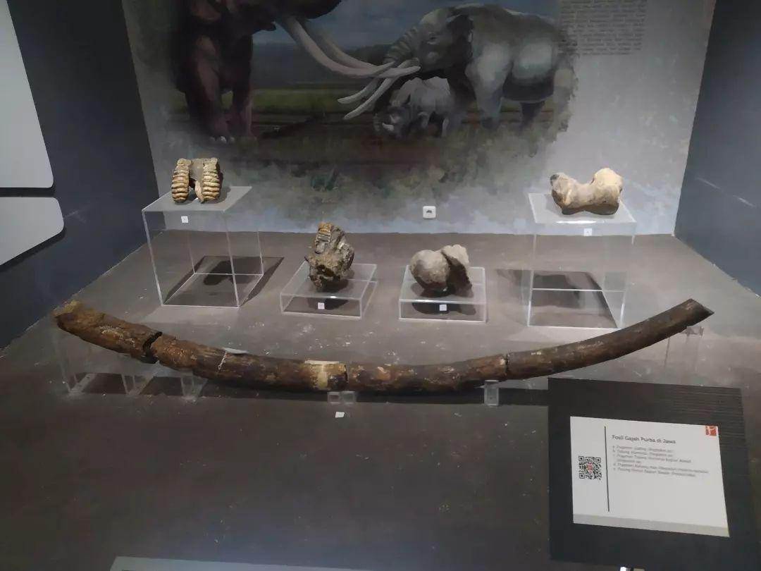 Museum Semedo Tegal ( syifa_alfy Instagram)