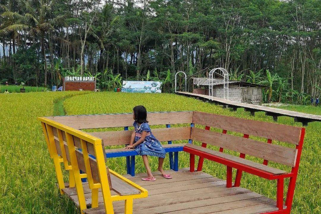 Tapak Hapsari Salatiga: Wisata Alam Edukatif di Tengah Sawah ( tapakhapsari Instagram)