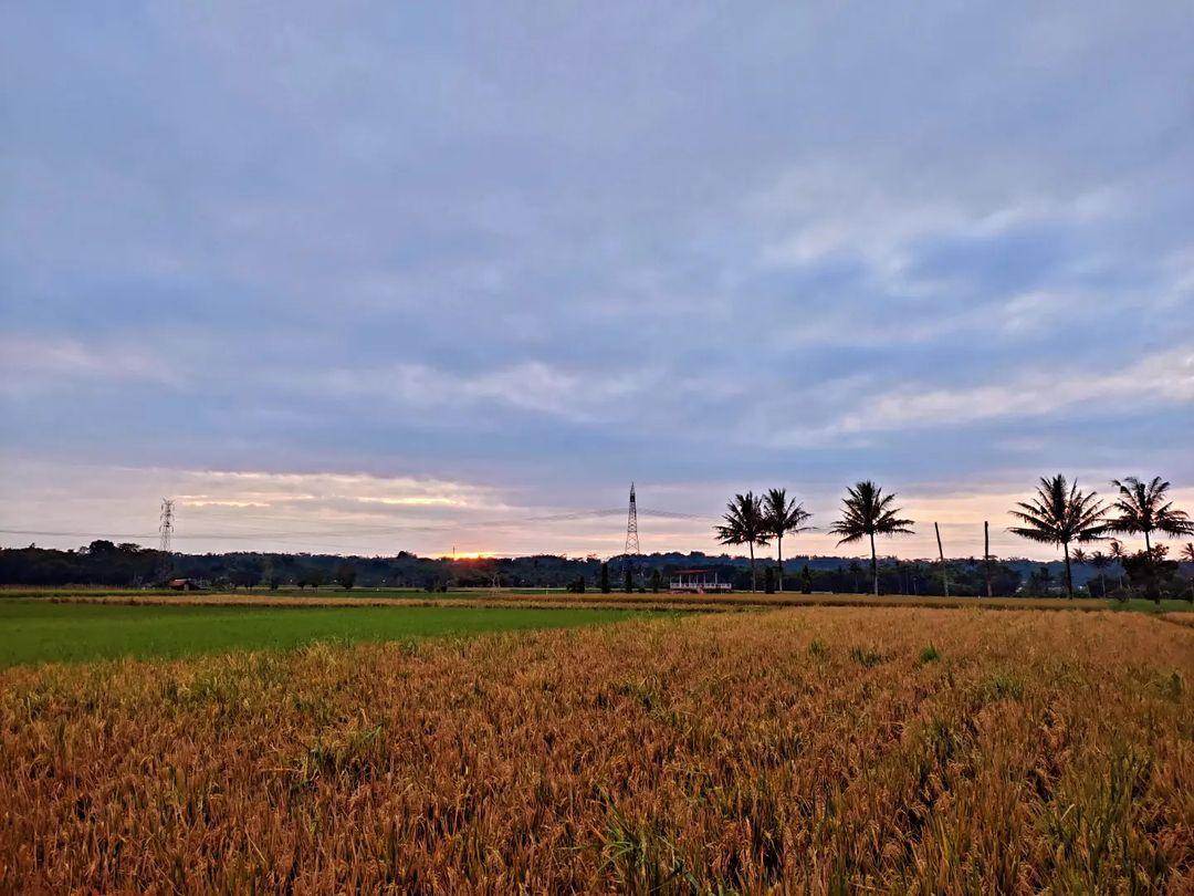 Desa Wisata Tingkir Lor: Harga Tiket, Daya Tarik, Jam Buka ( ferninda_maela_sari Instagram)