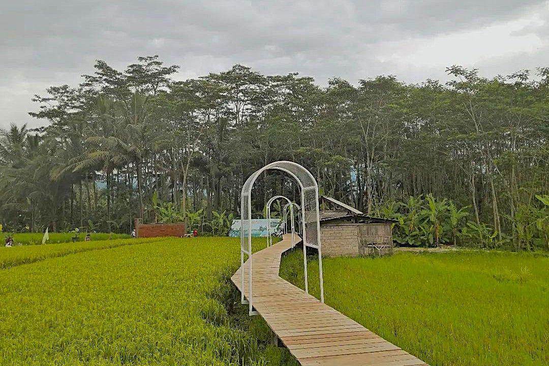 Tapak Hapsari Salatiga: Harga Tiket, Daya Tarik, Jam Buka ( tapakhapsari Instagram)