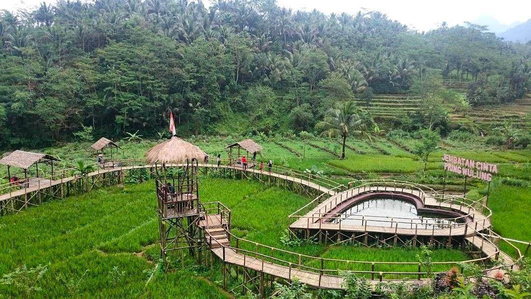 Jembatan Cinta Pring Wulung: Harga Tiket, Daya Tarik, Jam Buka ( ellisabriyandhanie Instagram)