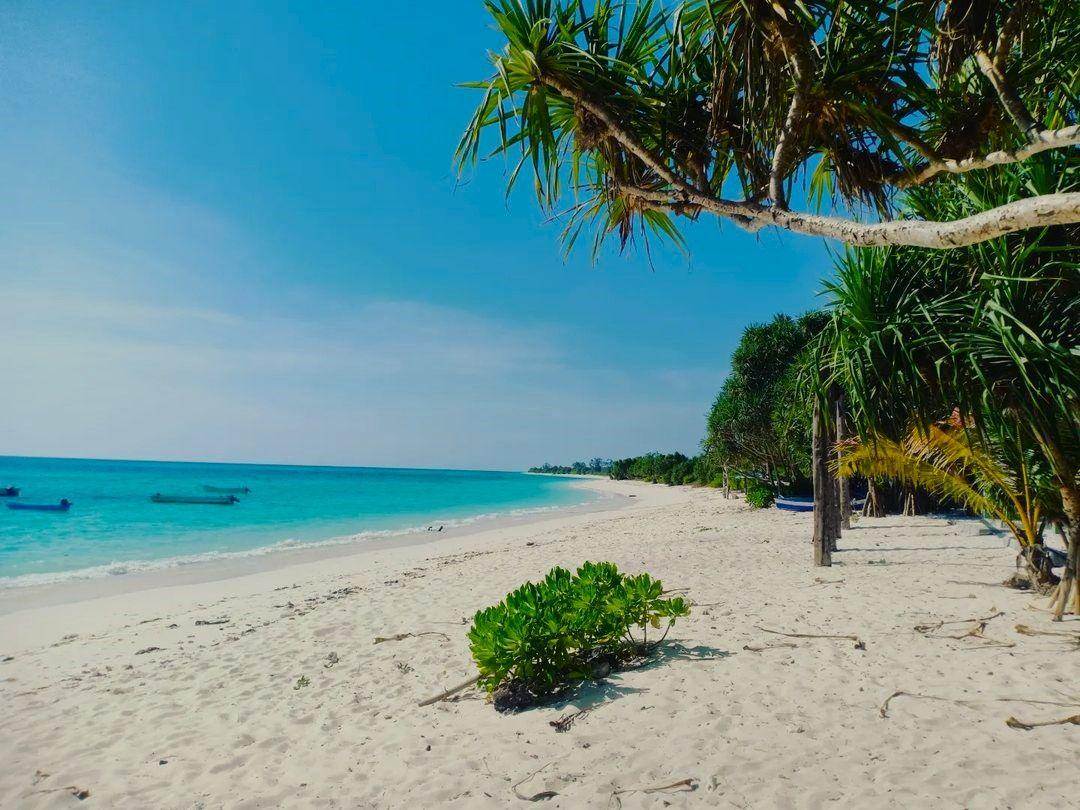 Daya Tarik Pantai Otan Kupang ( edhu_java Instagram)