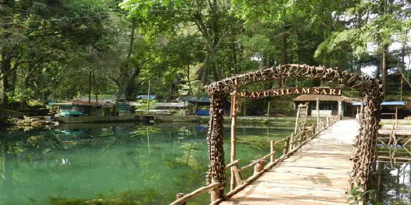 Telaga Remis Kuningan: Pesona Danau dan Keanekaragaman Hayati
