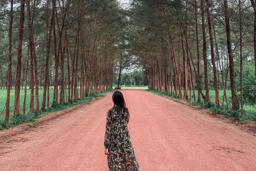 Bangka Botanical Garden: Wisata Alam dan Edukatif di Pangkalpinang ( nita_rachman Instagram)