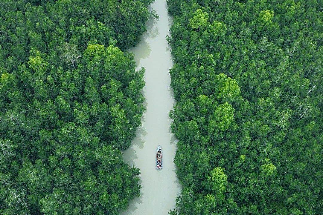 Mangrove Kurau Barat: Harga Tiket, Daya Tarik, Jam Buka ( sinematraveler Instagram)