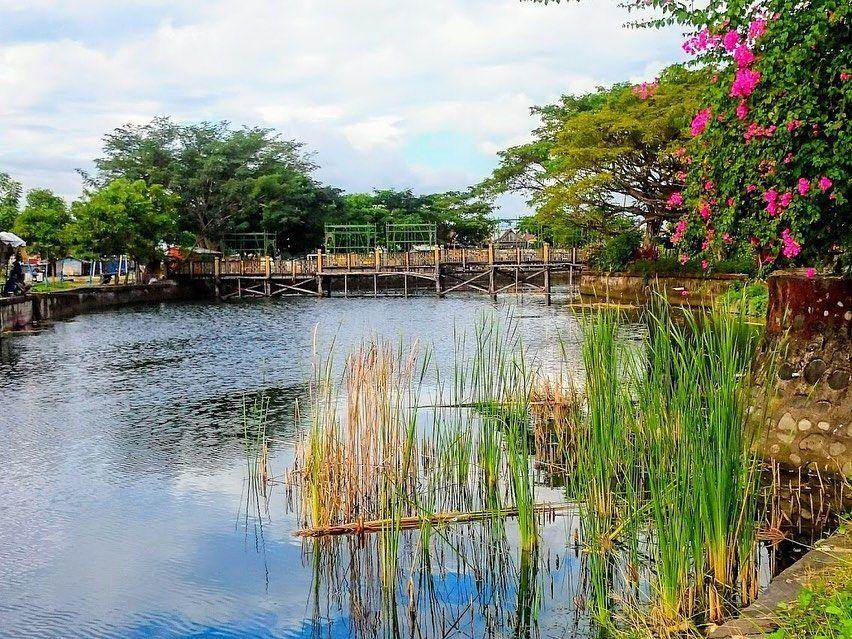 Taman Maccini Sombala: Tiket, Daya Tarik, Lokasi, Jam Buka ( letsavetourism  Instagram)
