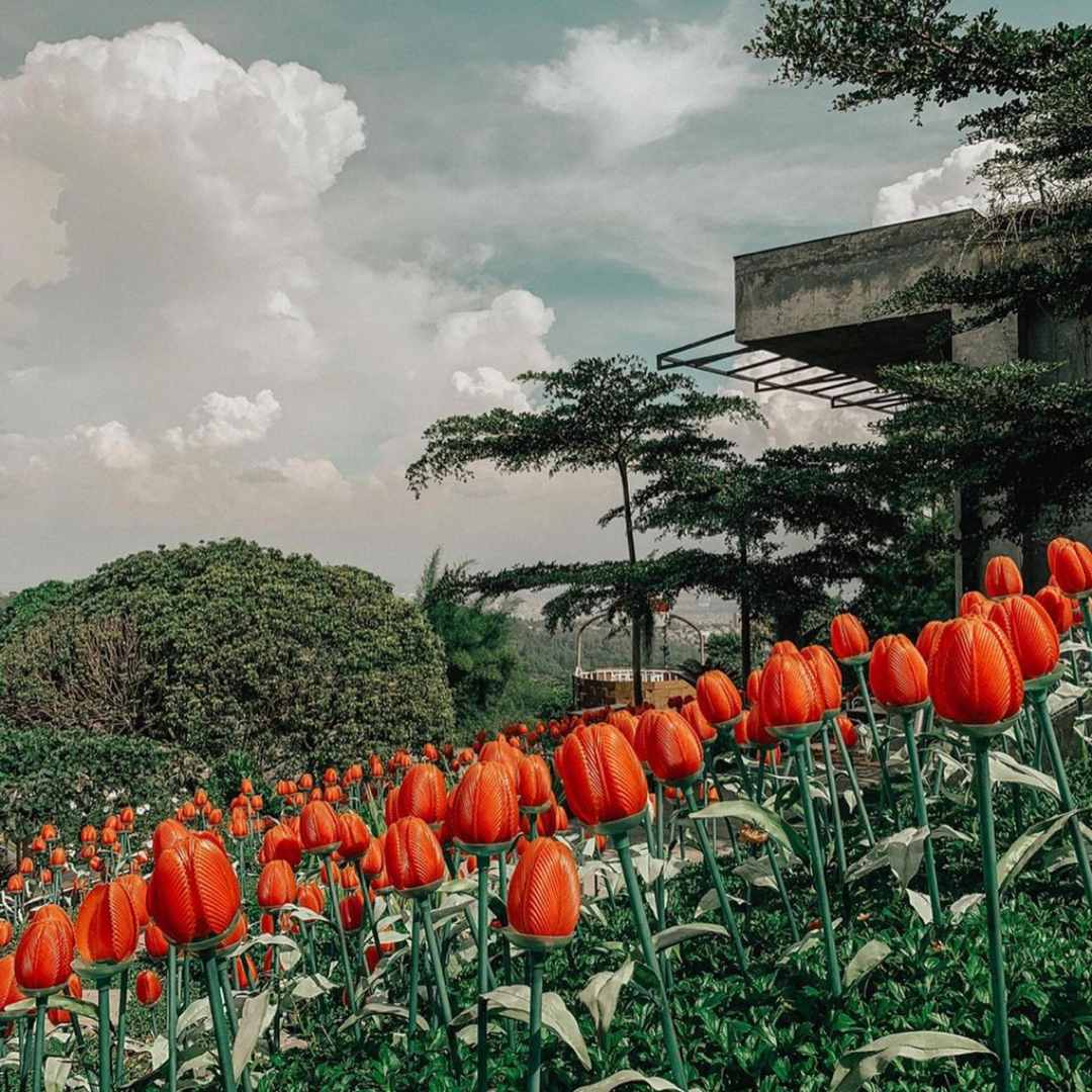 Flower garden / cekrekel